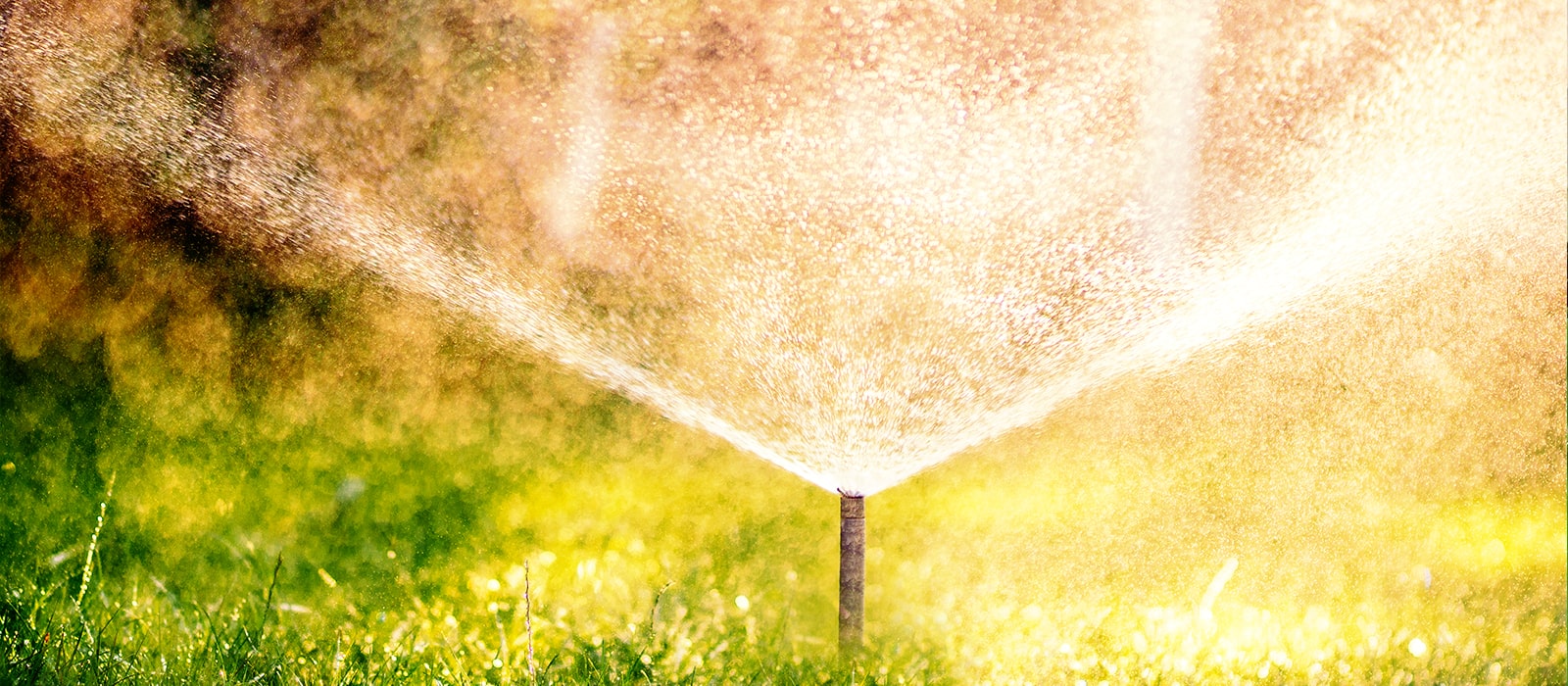 Sprinkler System Installation Blake's Lawn Care Wichita, KS
