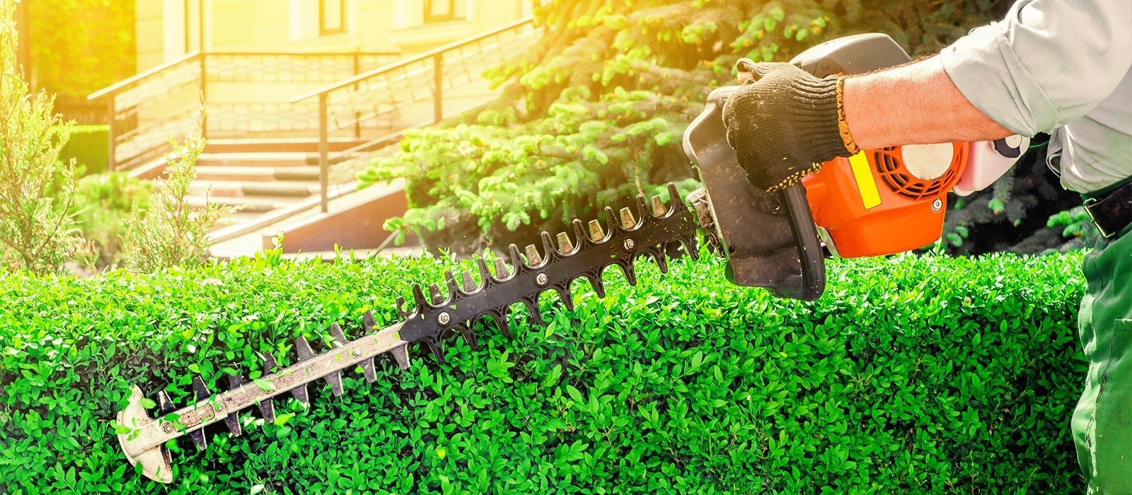 Lawn Renovation Services | Blake'S Lawn Care | Wichita, Kansas